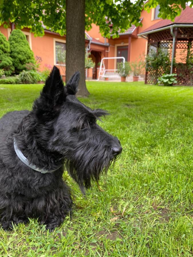 Apartman Dora Hajdúszoboszló Kültér fotó